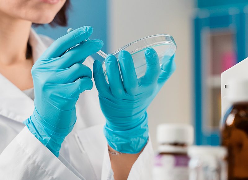 Virus, bacterie, parazit – ce trebuie sa stim?